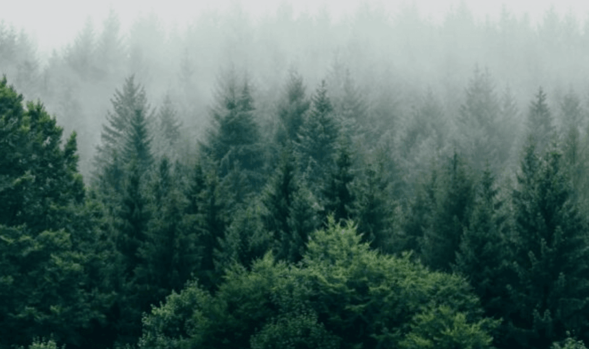 Scopri il valore della connessione con la natura