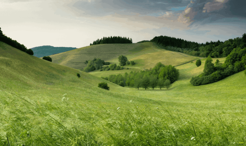 Quali comportamenti adottare per rispettare la natura durante un’escursione